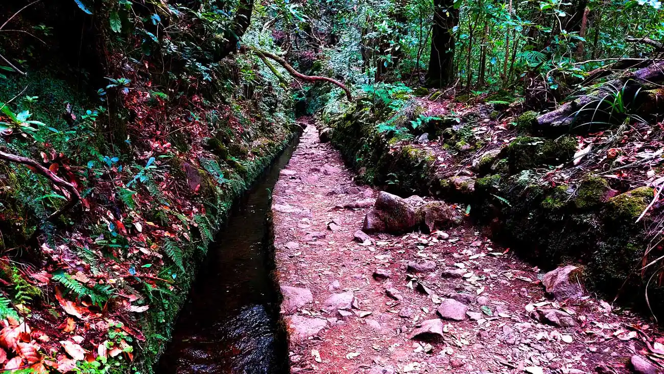 Visiting Levada do Caldeirão Verde now costs €3