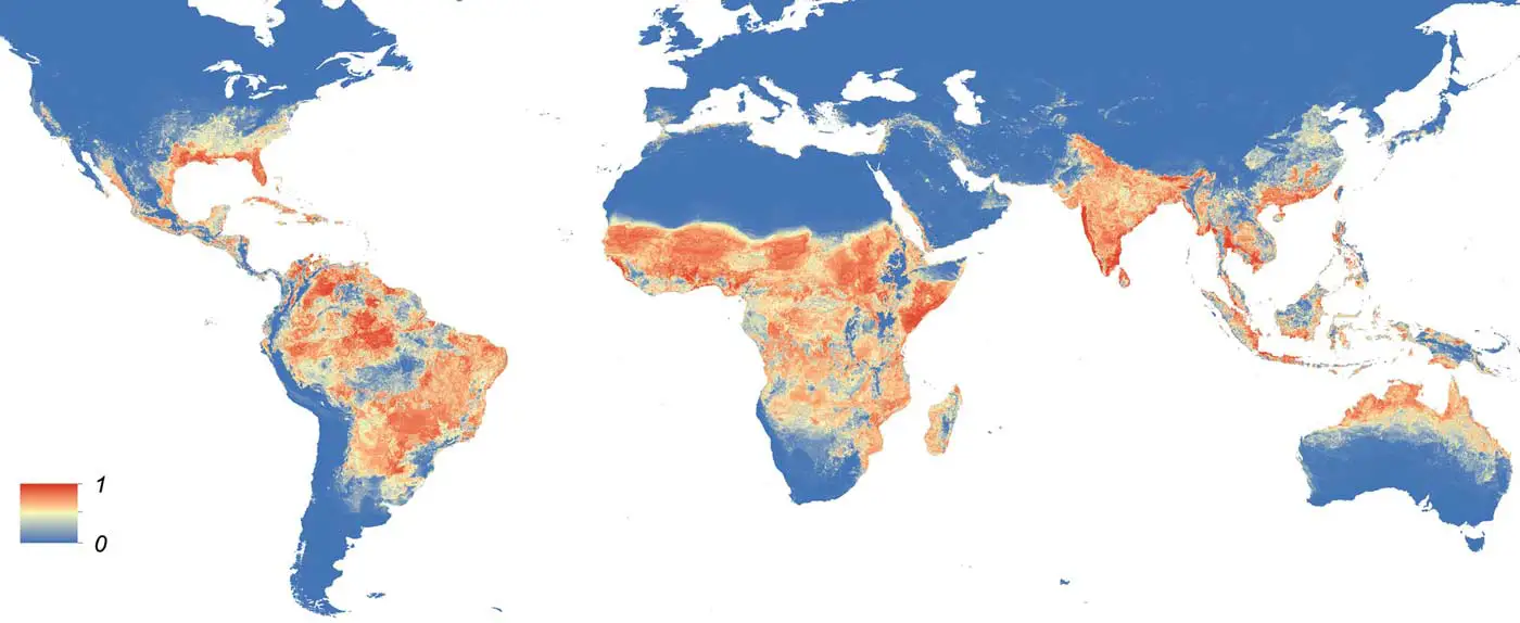 Aedes aegypti spread over the world