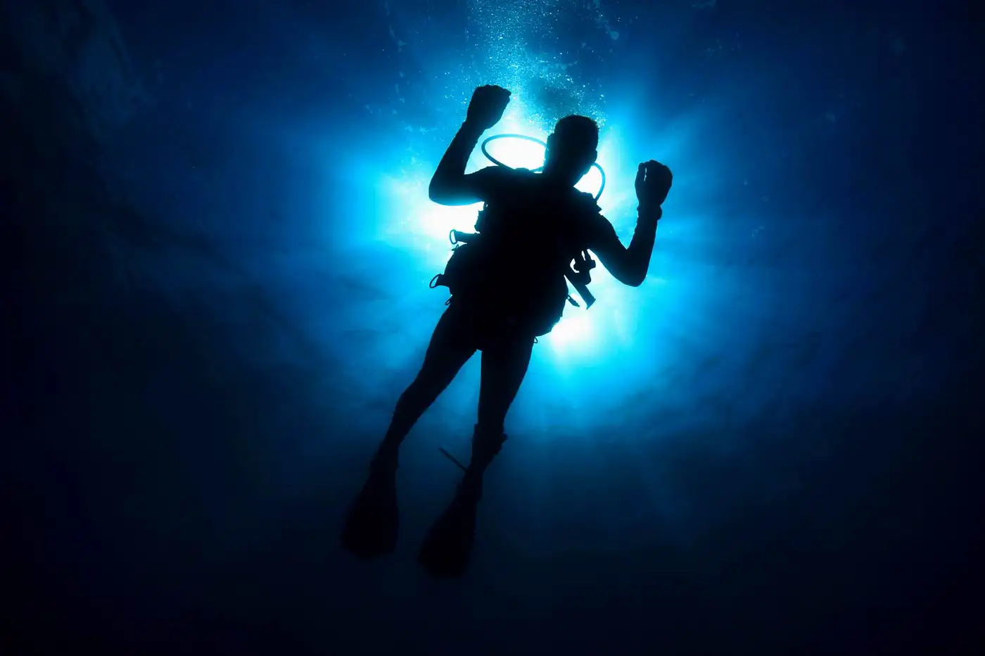 Two Divers Attacked by Lobo Marinho Near Ponta do São Lourenço