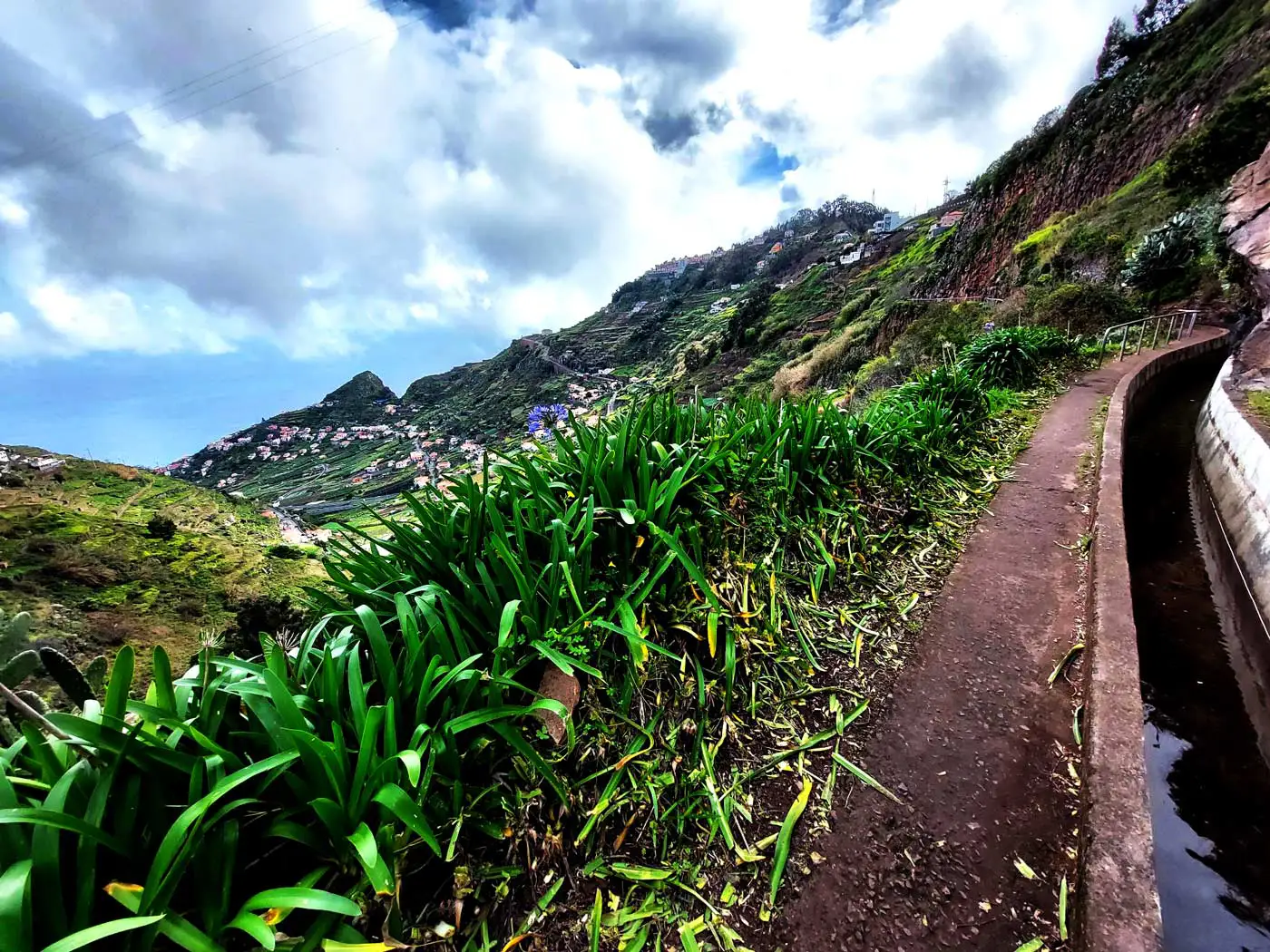 Dead Man Discovered in Levada do Norte